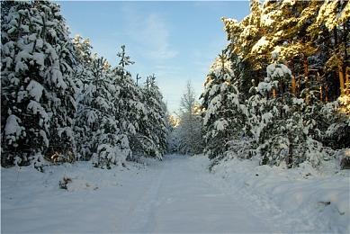 《心灵杀手2》新实机截图公布 画面精细超逼真